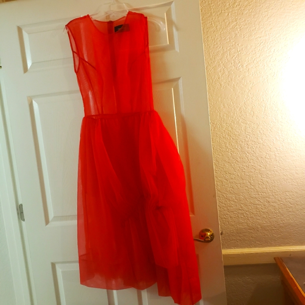 Sheer Red Dress